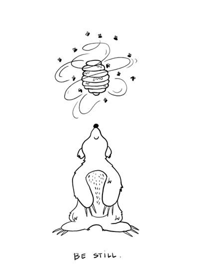 Be Still - Momma Bear Meditations Be Still - Momma Bear Meditations
