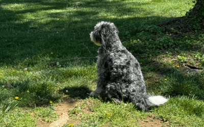 TIMING: The Art of Waiting
